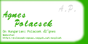 agnes polacsek business card